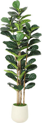 6FT Artificial Fiddle Leaf Fig Tree - Faux Rubber Tree with White Pot - Tall Fake Floor Plant with 74 Leaves - Artificial Plant for Home Decor Indoor Office Living Room