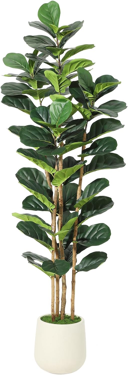 6FT Artificial Fiddle Leaf Fig Tree - Faux Rubber Tree with White Pot - Tall Fake Floor Plant with 74 Leaves - Artificial Plant for Home Decor Indoor Office Living Room
