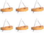 MITIME air plant holder, small air plant display stand. Wall mount to save space, wall decoration. (Plants not included) (Set of 6)