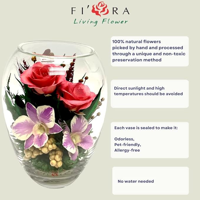 Luxury Orchid Arrangement | Preserved Orchids in Glass Vase | Long-Lasting Flowers for Anniversary, Wedding, or Corporate Gifts