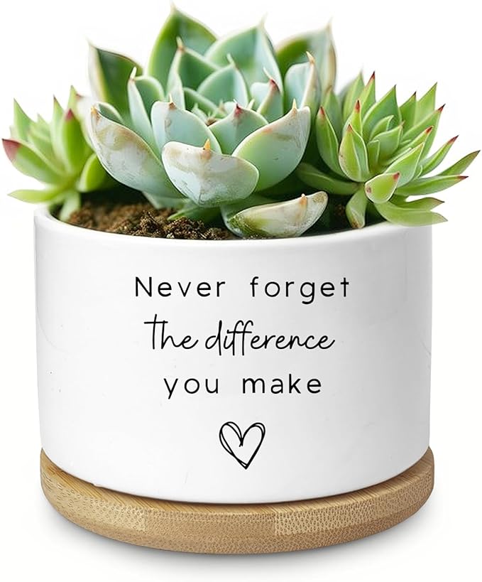 Cute Succulent Planter, Flower Cactus Plant Pot Gifts, Going Away Farewell Thank You Inspirational Employee Appreciation Gifts for Women Men Coworkers Boss Lady Manager (No Plants)