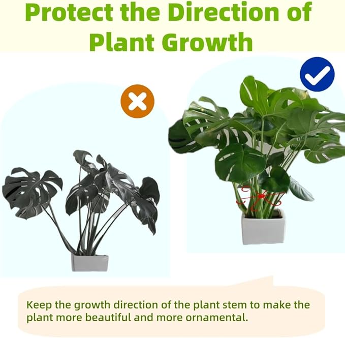 12 PCS Plant Stem Support, Plant Stakes for indoor Plants Plant Clips for Climbing Plants, Plastic Monstera Plant Support Accessories for Potted indoor Plant in Various Growth Stage(4 Sizes, 3 Colors)