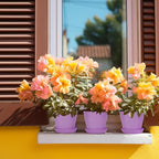 8 Pcs Flower Pots,Succulent Pots,3.8" Pots for Planting.Plastic Pot for Plants for Indoor Plants,Flower Pot for Indoor Planting,Herb Garden Planter Mini