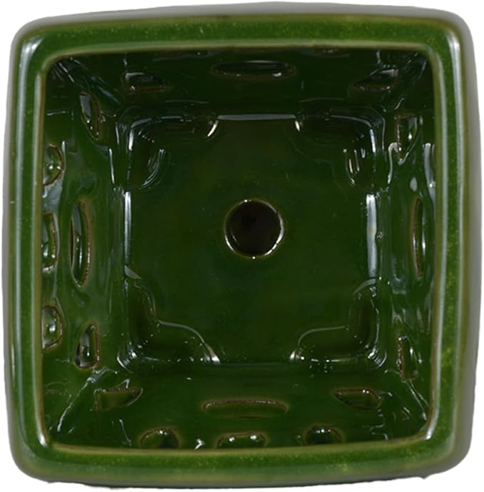 W&W Orchid Pot with Holes and Saucer for Repotting, Seagreen, 5.5"
