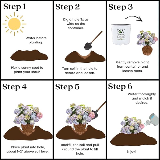 Proven Winners 2 Gal. Let's Dance Skyview Hydrangea Shrub