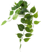 Fake Pothos Hanging Plant – Artificial Plastic Ivy Vines with White Pot, Realistic Faux Greenery for Indoor Home Office Bathroom Shelf Cabinet Decoration