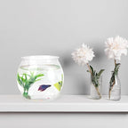 1 Gallon PET Aquaponic Fish Tank, Fish Bowl Aquaponic Betta Fish Tank Clear Aquarium for Betta Fish Reptiles Succulents Flower Vase Betta Fish Centerpiece Present for Home Office Desktop Decors