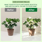 6Pack Small Trellis for Potted Plants Indoor with Crystal Sun Catcher, Golden Metal Plant Stake for Home Window Garden, Plant Accessories Indoor Decoration (Gold)