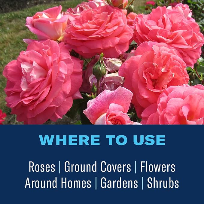 BioAdvanced Rose and Flower Insect Killer, Ready-to-Use, 24 oz, Plant Bug Spray (Pack of 2)