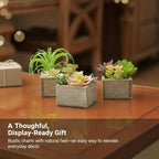 Mingfuxin Artificial Succulents Indoor, Set of 3 Mini Potted Greenery in Rustic Wood Planters, Tabletop Accent for Office, Bathroom Shelf, No Watering