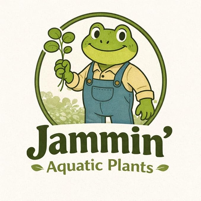 Frogbit Live Floating Aquarium Plant, Green, Freshwater Aquatic Plant for Fish Tanks and Ponds