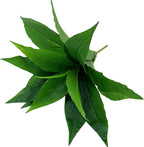 CATTREE Artificial Plants Outdoor Decor, Fake Plant Shrubs Faux Grass Plastic Leaves Greenery Bushes Home Garden Wedding Party Decorations Indoor Office Yard Verandah Planter Filler - Green 2 Pack