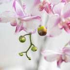 DUYONE 35 Inch Artificial Butterfly Orchid Flowers 4 Pcs softTouch Orchid Fake Phalaenopsis Flowers Stem Plants for Wedding Home Decoration (Light Purple 4pcs)