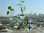 Bunmery 4 pcs Iridescent Window Propagation Stations, Easy to Install Plant Propagation Bulbs with Suckion Cups, No Nails Wall Hanging Planter Propagation Station, Glass Plant Terrarium Vase