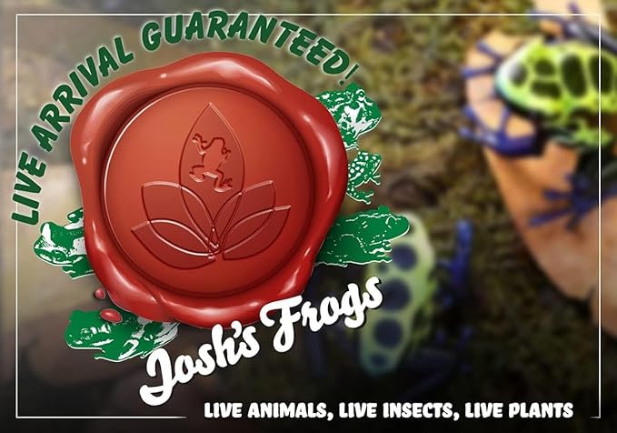 Josh's Frogs Epipremnum aureum Pothos (Marble Queen)