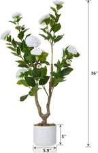 Garvee 3FT Artificial Camellia Tree 2 Pack, Faux Camellia Plant with White Planter and 16 White Flowers, 36" Fake Potted Flower Trees for Home and Office Decor