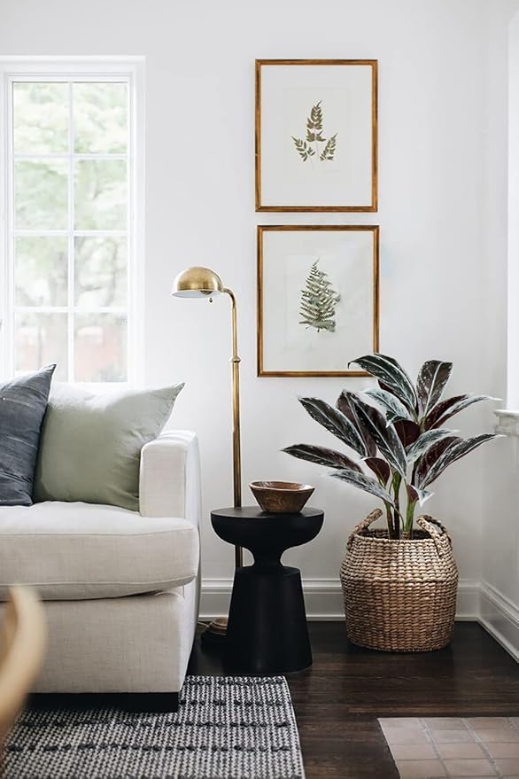 Briful 24.8" Artificial Cordyline Fruticosa Plant Decorative Indoor Tropical Fake Plants in White Pot for Home or Office