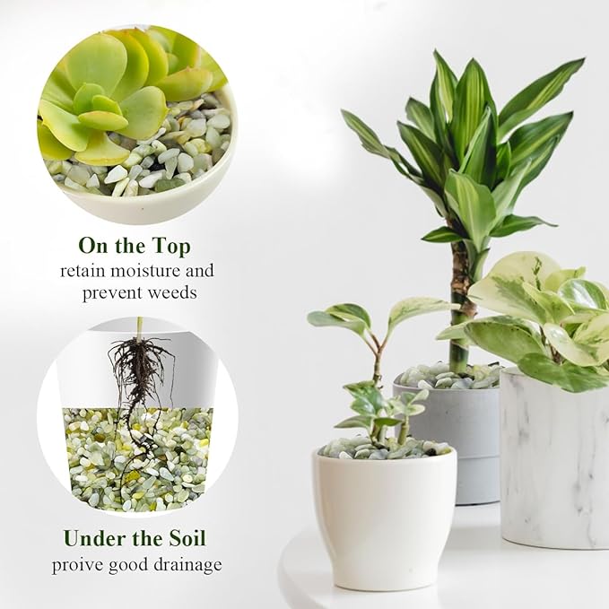 FANTIAN 5 lbs Jade Gravel Small Pebbles for Indoor Plants, Decorative Rocks for Plants Succulents Cactus Bamboo Vases Filler and Potted Drainage Gravel