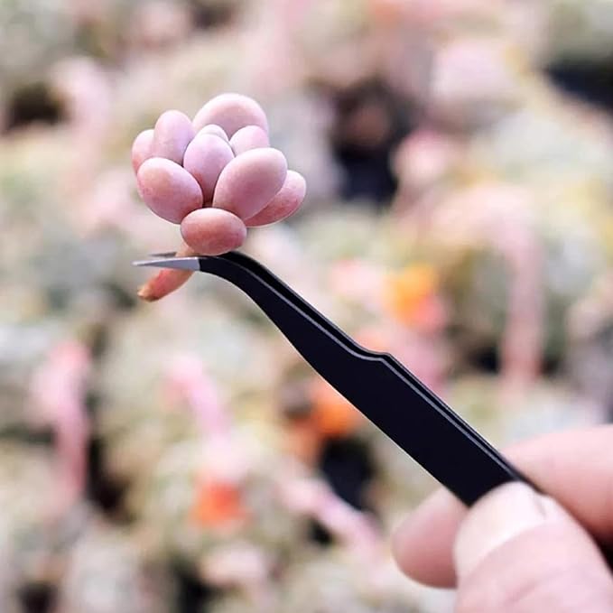 Succulent Tools Set,Plant repotting kit,repotting kit,Succulent Tools,Indoor Plant Tools,Succulent Tool kit,houseplant Tools,Plant Care kit,Indoor Plant Care kit, (Set of 17)