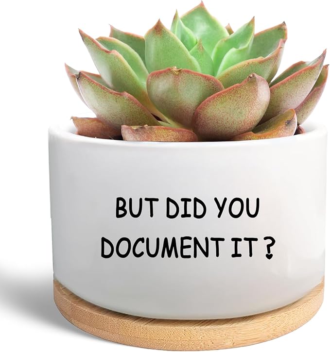 Office Desk Shelf Decor, Succulent Plant Pot, Ceramic Flower Cactus Planter Office Accessories Gifts for Coworker Employee Colleague Women Men Friend, But Did You Document It (Plants Not Included)