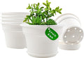 Pottiffe 6 Inch Plastic-Flower Pot-for-Indoor Plants, 6 Pack Outdoor Plant Pots with Drainage Holes & Saucers, Resin Garden Pots Planters