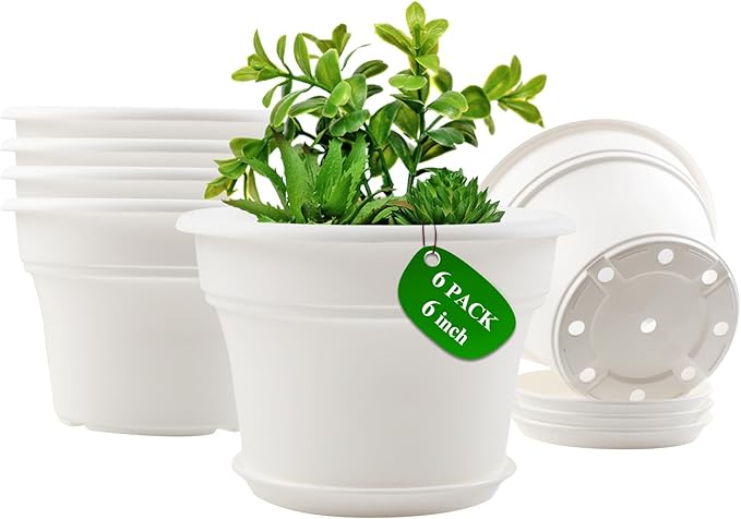Pottiffe 6 Inch Plastic-Flower Pot-for-Indoor Plants, 6 Pack Outdoor Plant Pots with Drainage Holes & Saucers, Resin Garden Pots Planters