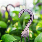 Golden Pothos in 8in Hanging Basket | Extremely Easy to Care for | Perfect for Any Indoor Space