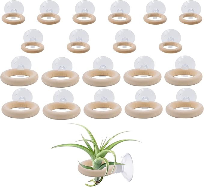 20 PCS Air Plant Holder Suction Cup, 2 Sizes Small Wooden Tillandsia Hanger with Suction Cups for Smooth Glass, Tile, Window, Metal Surface Home Decor Display (Plants Not Included)