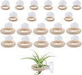 20 PCS Air Plant Holder Suction Cup, 2 Sizes Small Wooden Tillandsia Hanger with Suction Cups for Smooth Glass, Tile, Window, Metal Surface Home Decor Display (Plants Not Included)
