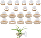 20 PCS Air Plant Holder Suction Cup, 2 Sizes Small Wooden Tillandsia Hanger with Suction Cups for Smooth Glass, Tile, Window, Metal Surface Home Decor Display (Plants Not Included)