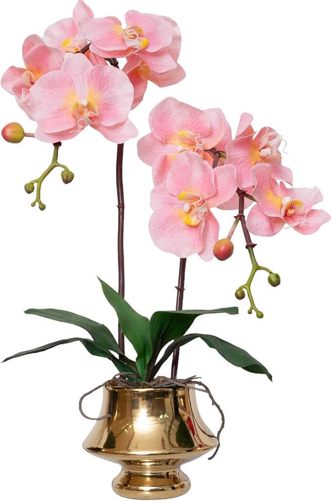 CXGS Orchids Artificial Flowers Realistic Fake Flowers in Ceramic Vase 20" Pink Faux Plants Indoor Lifelike Soft PU Phalaenopsis for Centerpiece Hotel Home Decor