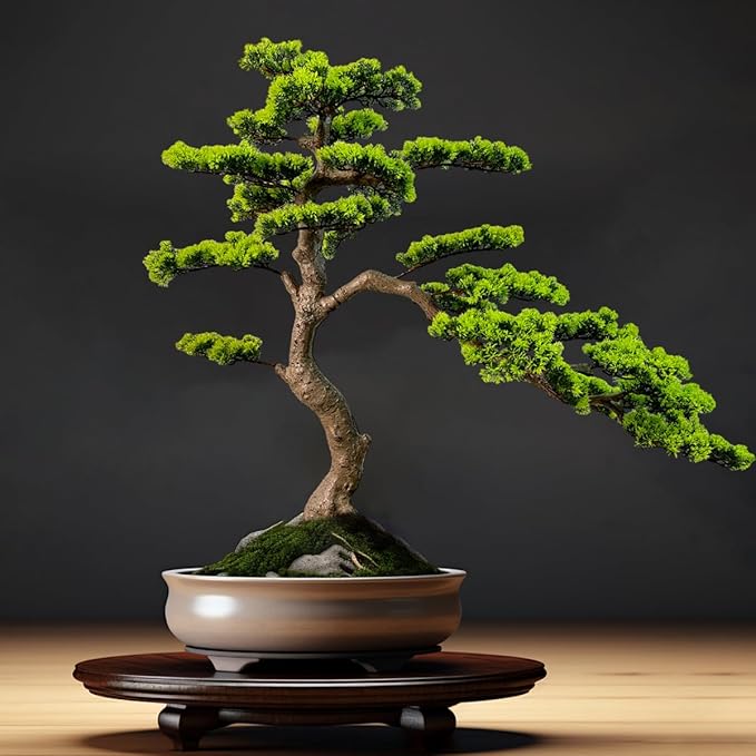 3ft（36in） Artificial Bonsai Tree Juniper Faux Plants Indoor Big Fake Plants Decor with Ceramic Pots for Home Table Office Desk Shelf Bedroom Living Room Decorations (Green)