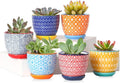 Selamica Ceramic 2.4 Inch Succulent Pots, Mini Flower Pots for Cactus Plant with Drainage Holes & Saucers, Home Decor, Set of 6, Assorted Colors