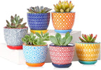 Selamica Ceramic 2.4 Inch Succulent Pots, Mini Flower Pots for Cactus Plant with Drainage Holes & Saucers, Home Decor, Set of 6, Assorted Colors