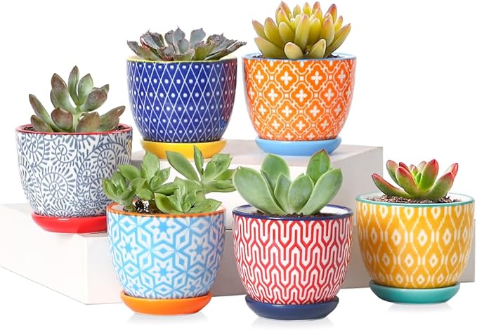 Selamica Ceramic 2.4 Inch Succulent Pots, Mini Flower Pots for Cactus Plant with Drainage Holes & Saucers, Home Decor, Set of 6, Assorted Colors