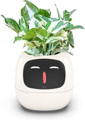 Smart Flowerpots,Smart Pet Planter,Ai Planter,Intelligent Flowerpots,Multiple Expressions,7 Smart Sensors, And Ai Chips Make Raising Plants Easy And Fun For Living Room,Desk,Plant-free (White)