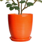 10 Inch Plant Pot, Ceramic Planters for Plants with Drainage and Saucer, Orange