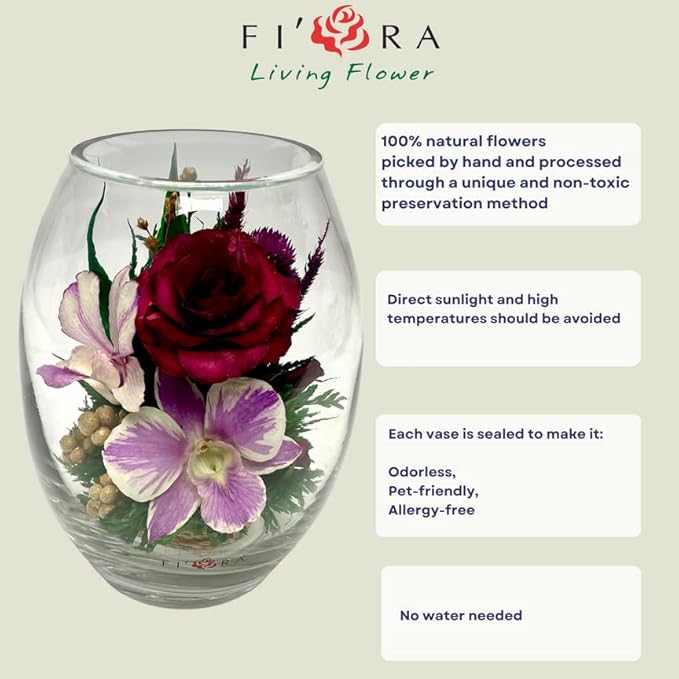 Luxury Orchid Arrangement | Preserved Orchids in Glass Vase | Long-Lasting Flowers for Anniversary, Wedding, or Corporate Gifts