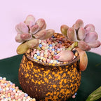 180g Garden Soil,Clay Pebbles Gardening Ceramsite Orchid Rocks Drainage Water Purification Ceramsite Decor Cultivation Soil Stone Horticultural Grade for Soil Hydroponics Aquaponics,Diameter 8-10mm