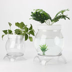 1 Gallon PET Aquaponic Fish Tank, Fish Bowl Aquaponic Betta Fish Tank Clear Aquarium for Betta Fish Reptiles Succulents Flower Vase Betta Fish Centerpiece Present for Home Office Desktop Decors