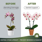 100 Pcs Standard Orchid Clips - 0.7-inch Max Opening, Dark Green Plant Support Clips, Gentle Hold with No Damage for Phalaenopsis and Small-Medium Stems