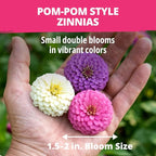 HOME GROWN Zinnia Lilliput Mix Flower Seeds for Planting Spring 2026 – 2500 Seeds (2g) Zinnia elegans – Colorful Zinnia Seed Mix for Garden Beds, Containers & Cut Flowers, Easy Grow Zinnia Seeds