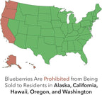 Becki Blue Blueberry Bush (2.5 Quart) Deciduous Fruit-Bearing Shrub - Full Sun Live Outdoor Plant