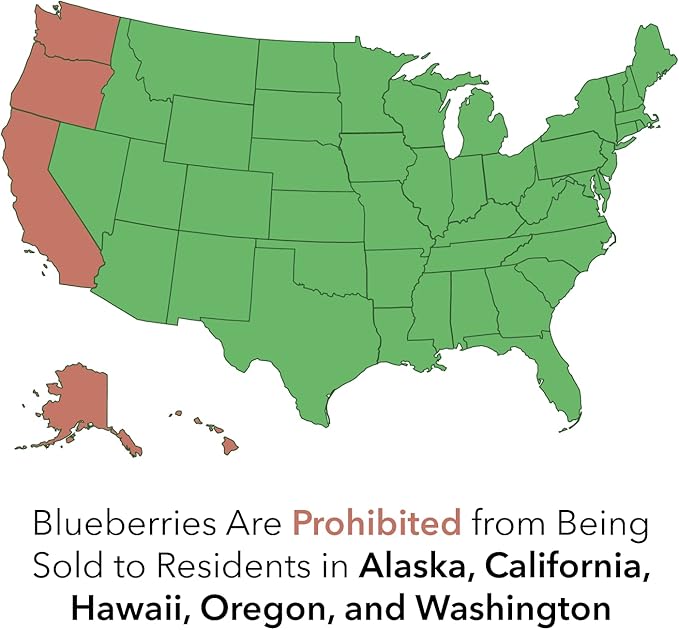 Becki Blue Blueberry Bush (2.5 Quart) Deciduous Fruit-Bearing Shrub - Full Sun Live Outdoor Plant