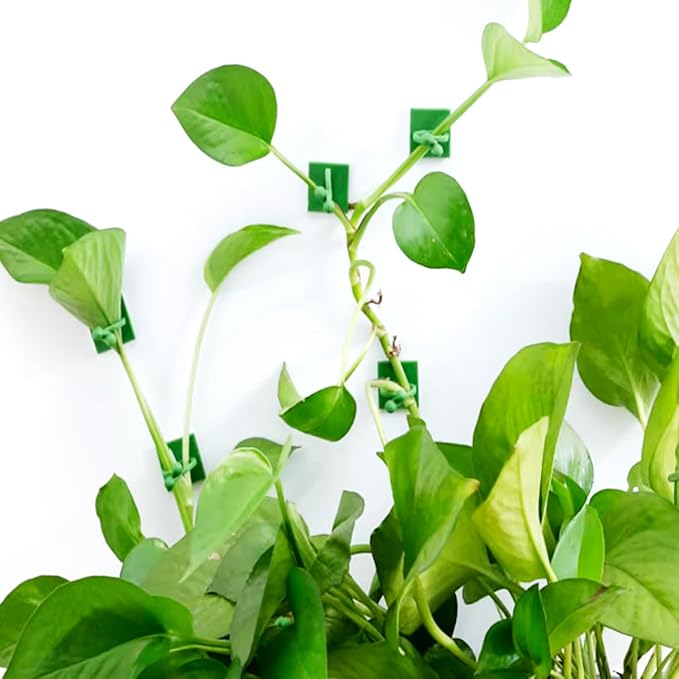 GXXMEI 120PCS Plant Climbing Wall Fixture Invisible Clips & Holder for Pothos