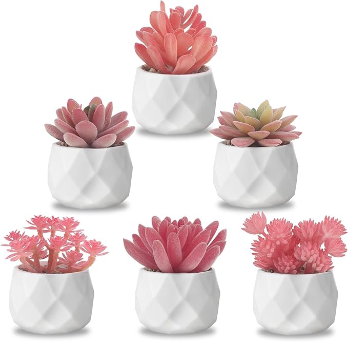ZINHO Fake Succulent Plant Set 6 PCS Artificial Succulent Plants for Desk Realistic Faux Succulents in Plastic Pots Mini Colorful Succulent Decor for Bedroom Office Shelf Decor (Pink)