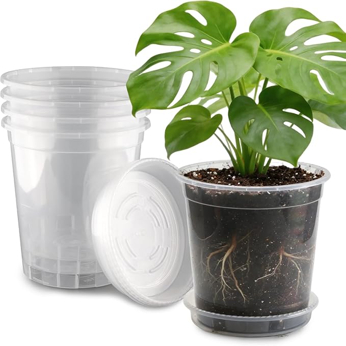 BTPLASTIK 3 Gallon Clear Nursery Pots with Saucers 5P, 10 Inch Round Plastic Plant Pots with Drainage Holes
