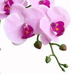 Htmeing 38 Inch Artificial Phalaenopsis Flowers Branches Real Touch (Not Silk) Orchids Flowers for Home Office Wedding Decoration,Pack of 2 (Pink)