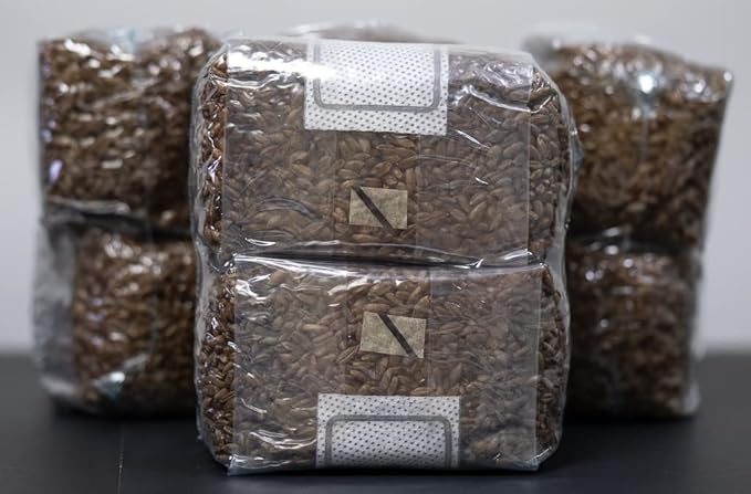 MycoHaus Mushroom Growing Kit | Sterilized Rye Grain | Magic Indoor Grow Bags for Mushrooms | Shroom Home Cultivation Magic Supplies | Without Spores | Without Injection Ports | 1 Pound (12 Pack)