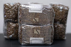 MycoHaus Mushroom Growing Kit | Sterilized Rye Grain | Magic Indoor Grow Bags for Mushrooms | Shroom Home Cultivation Magic Supplies | Without Spores | Without Injection Ports | 1 Pound (12 Pack)